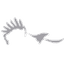 Airline logo