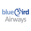 Airline logo