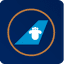 Airline logo