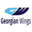 Airline logo