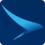 Airline logo