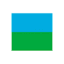 Airline logo
