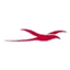 Airline logo
