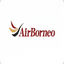 Airline logo