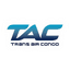 Airline logo