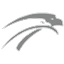Airline logo