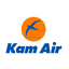 Airline logo