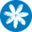Airline logo