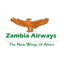 Airline logo