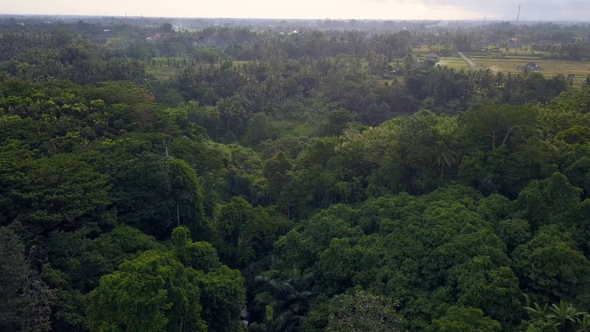 Image of Buon Ma Thuot