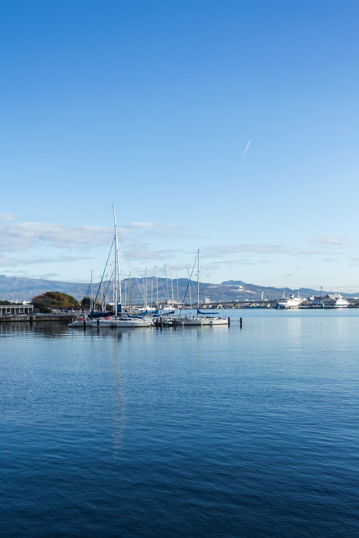 Image of Coffs Harbour