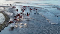 image of El Calafate, Argentina