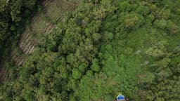 image of Gunung Mulu National Park, Malaysia