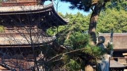 image of Matsuyama, Japan