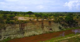 image of Morondava, Madagascar