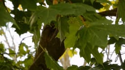 image of Vail, United States