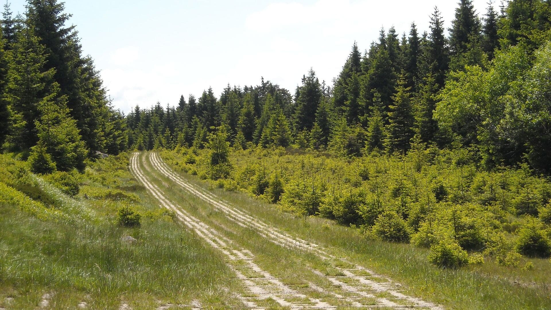 Harz Border Trail in Germany, hiking trails, RatePunk