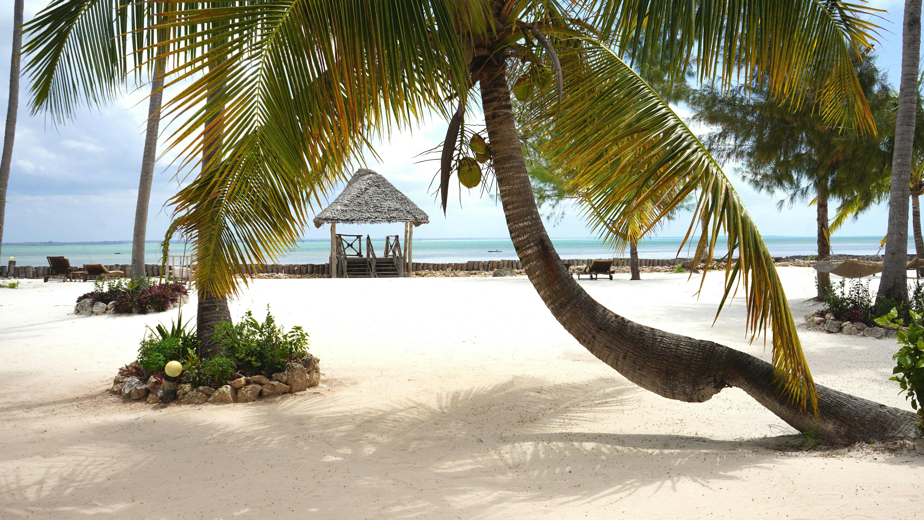 top 10 best  Zanzibar beaches -Michamvi - RatePunk