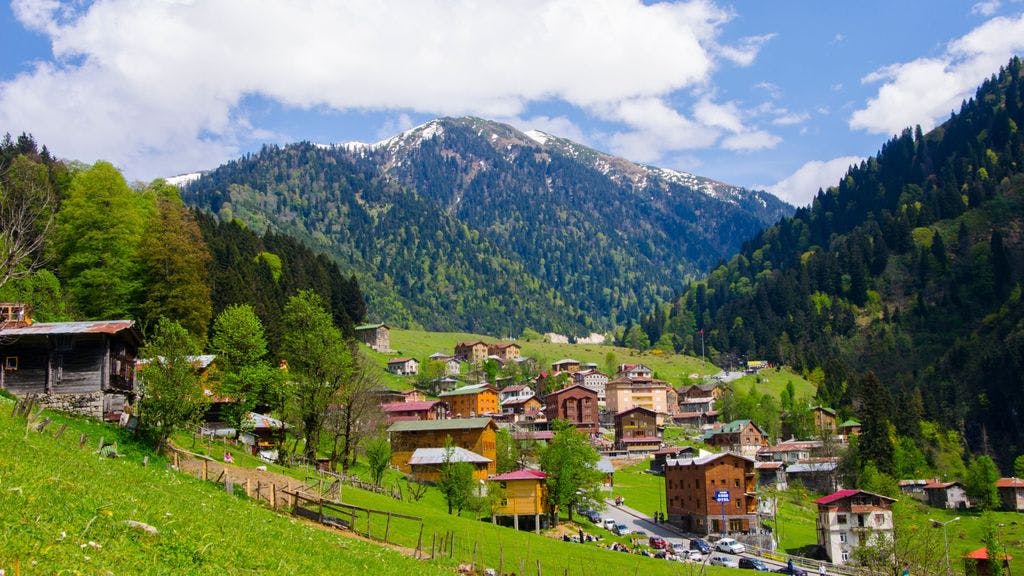 Image of Rize