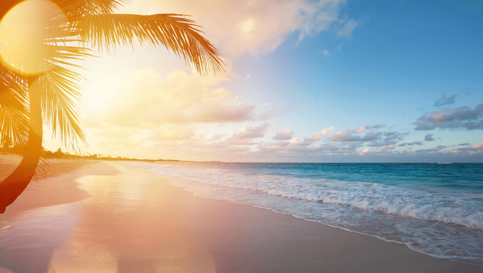 Background image of a beach