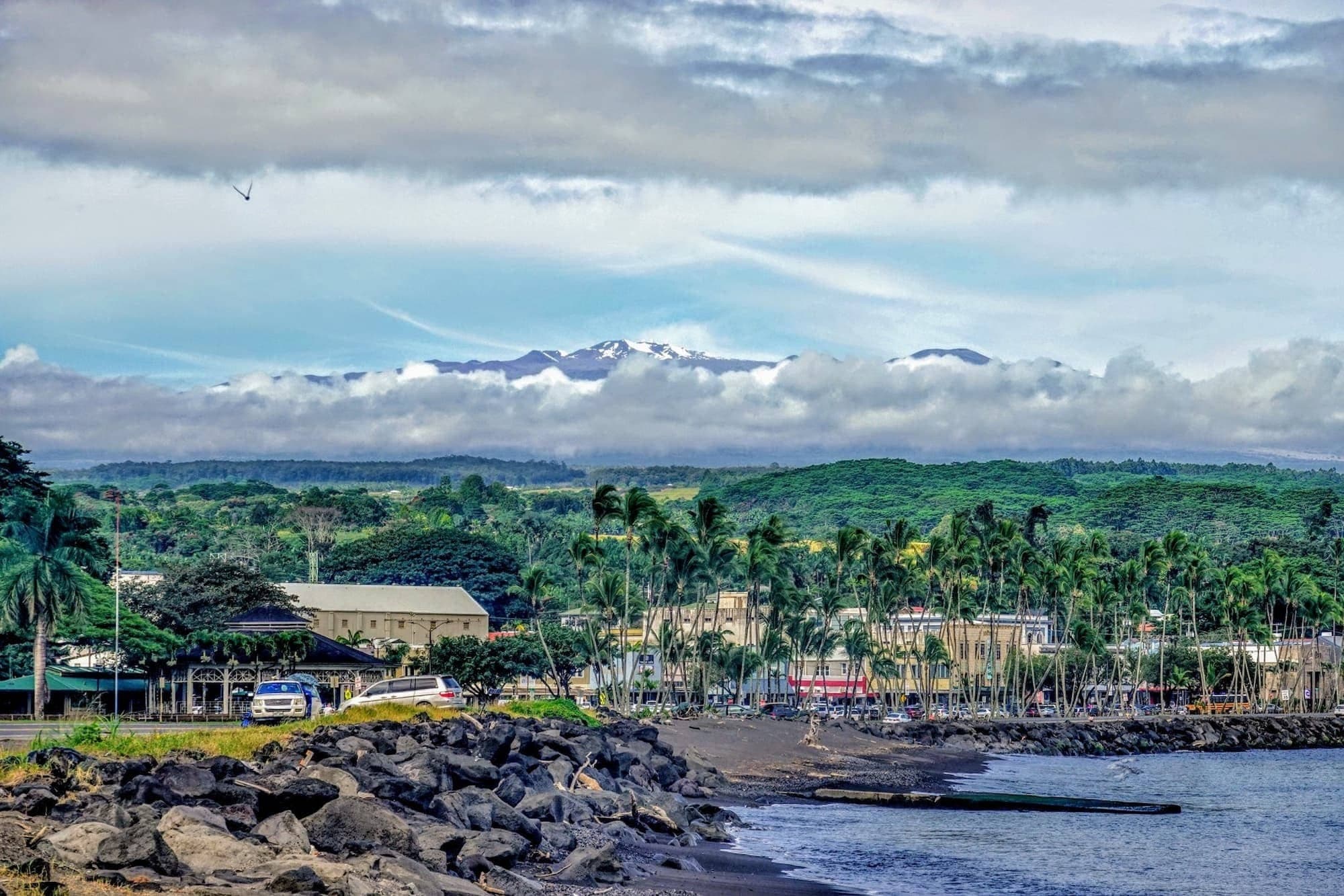 Image of Hilo