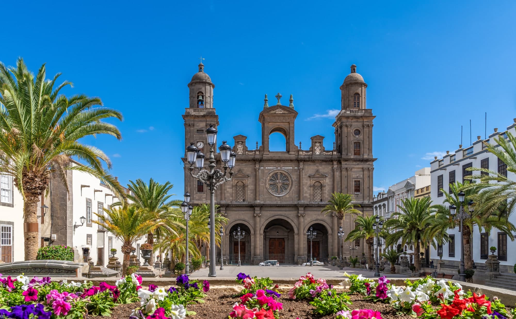 Image of Las Palmas