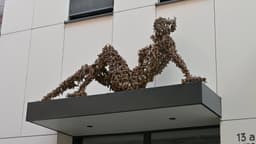 image of David, Chiriquí, Panama