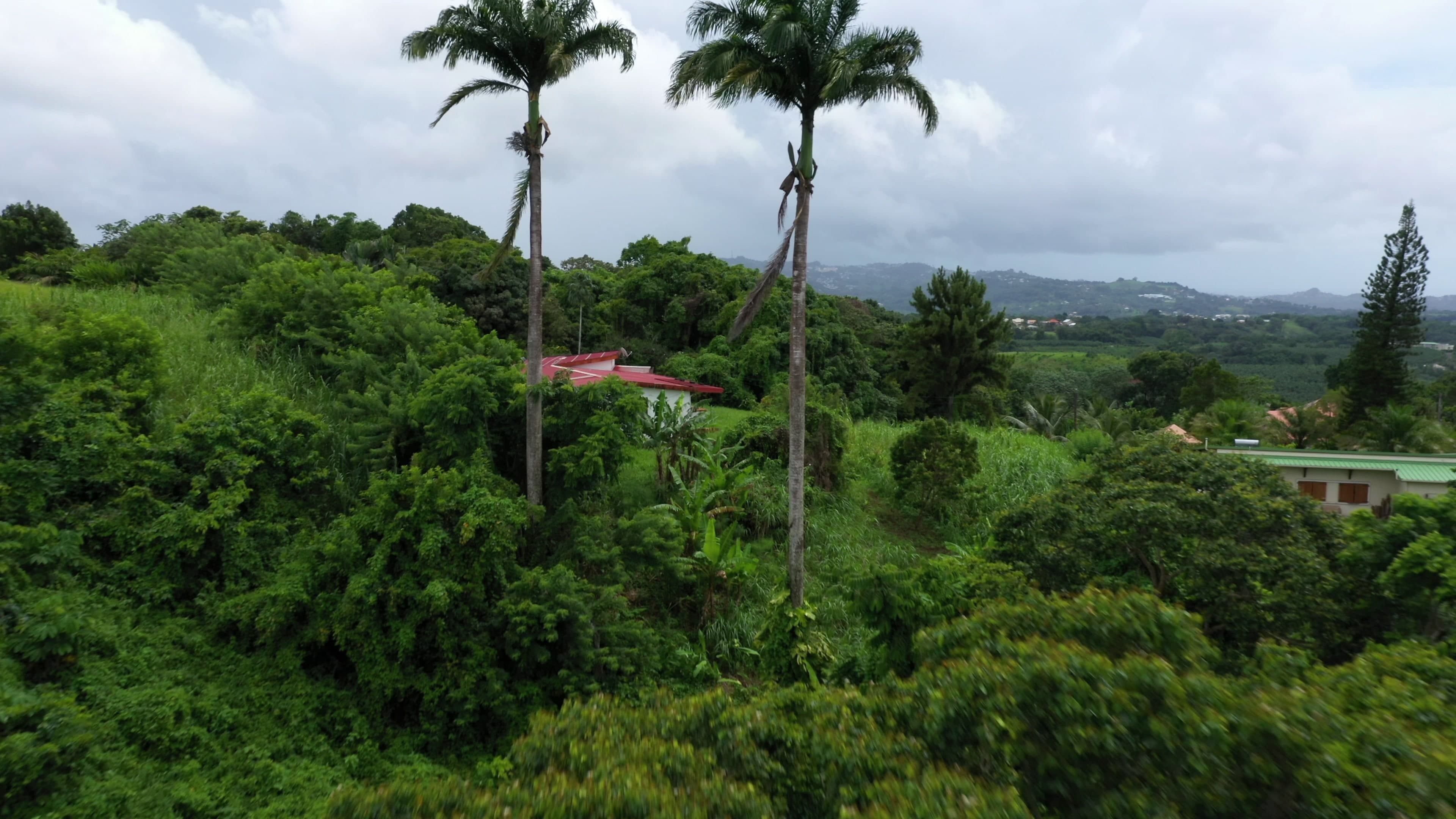 Image of Fort-de-France