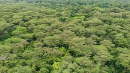 image of Lake Manyara, Tanzania