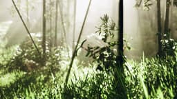 image of Nagoya, Japan