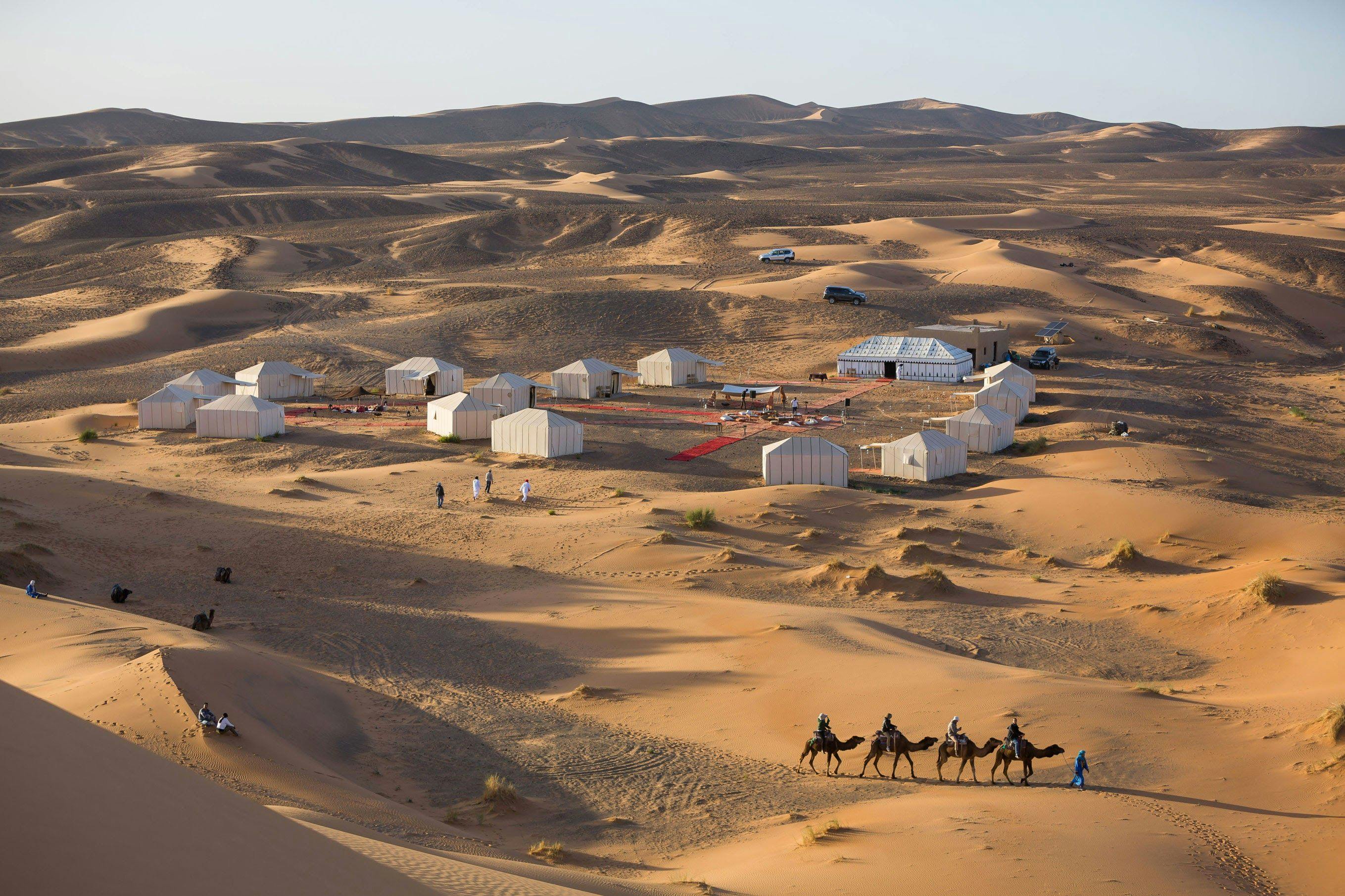 campsite of Merzouga Luxury Desert Camps and four camels