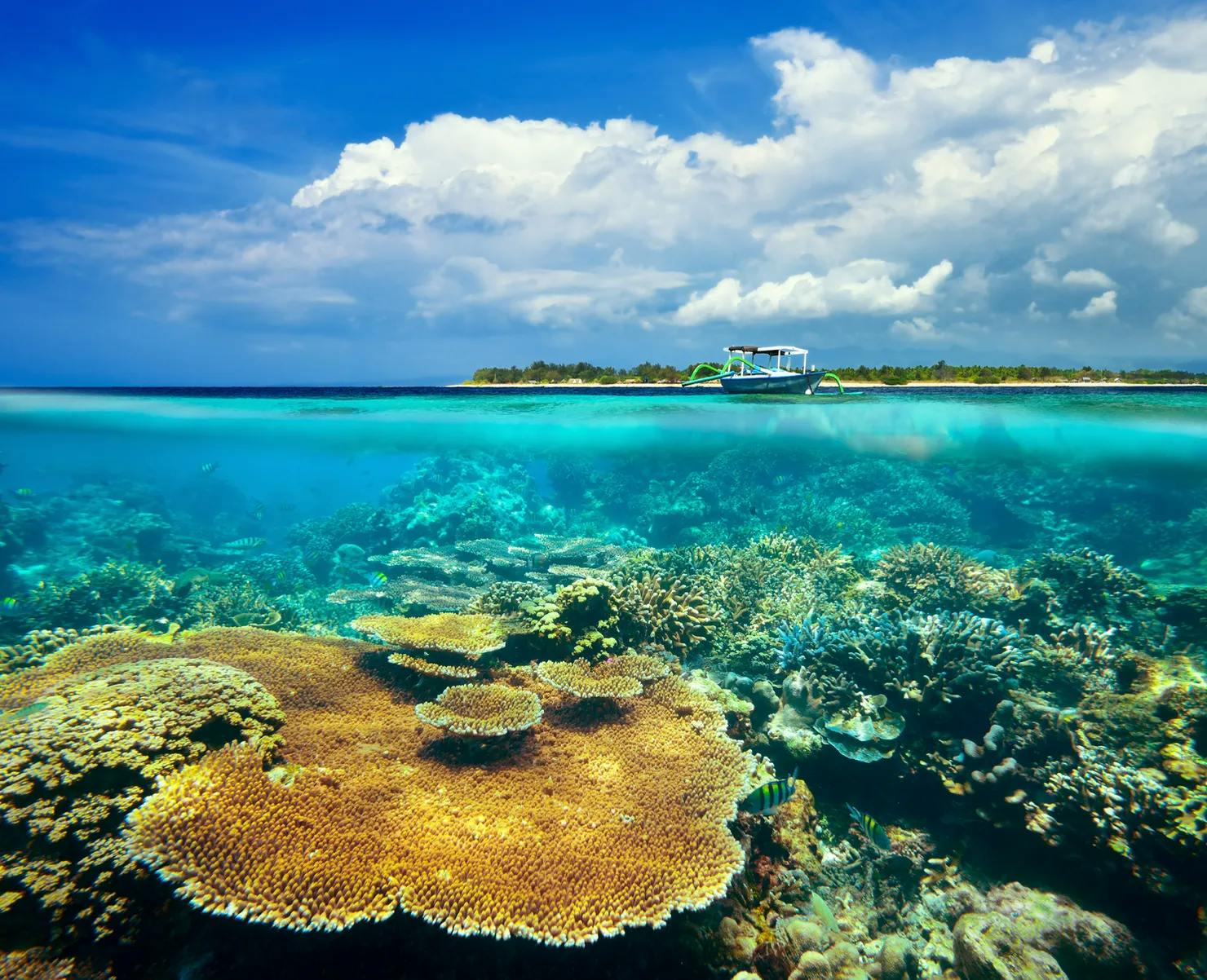 Coral reef on background Gili Meno Island in Indonesia