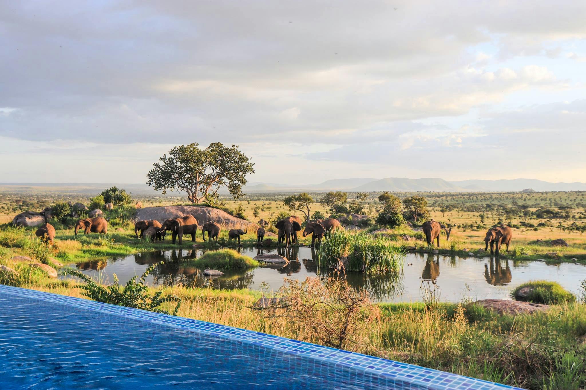 Pool in Four Seasons Safari Lodge in Serengeti National Park, Tanzania