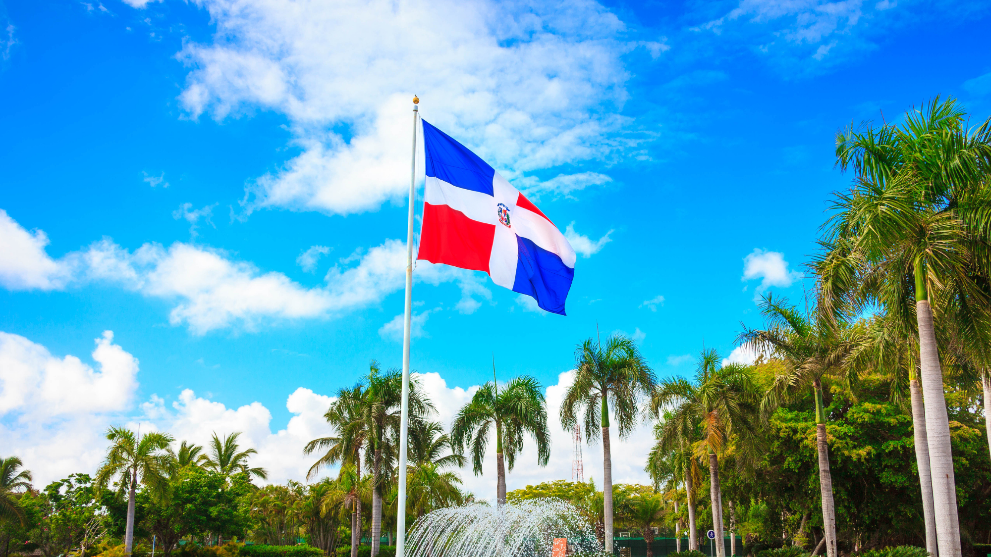 Dominican Republic flag near some trees in Dominican republic