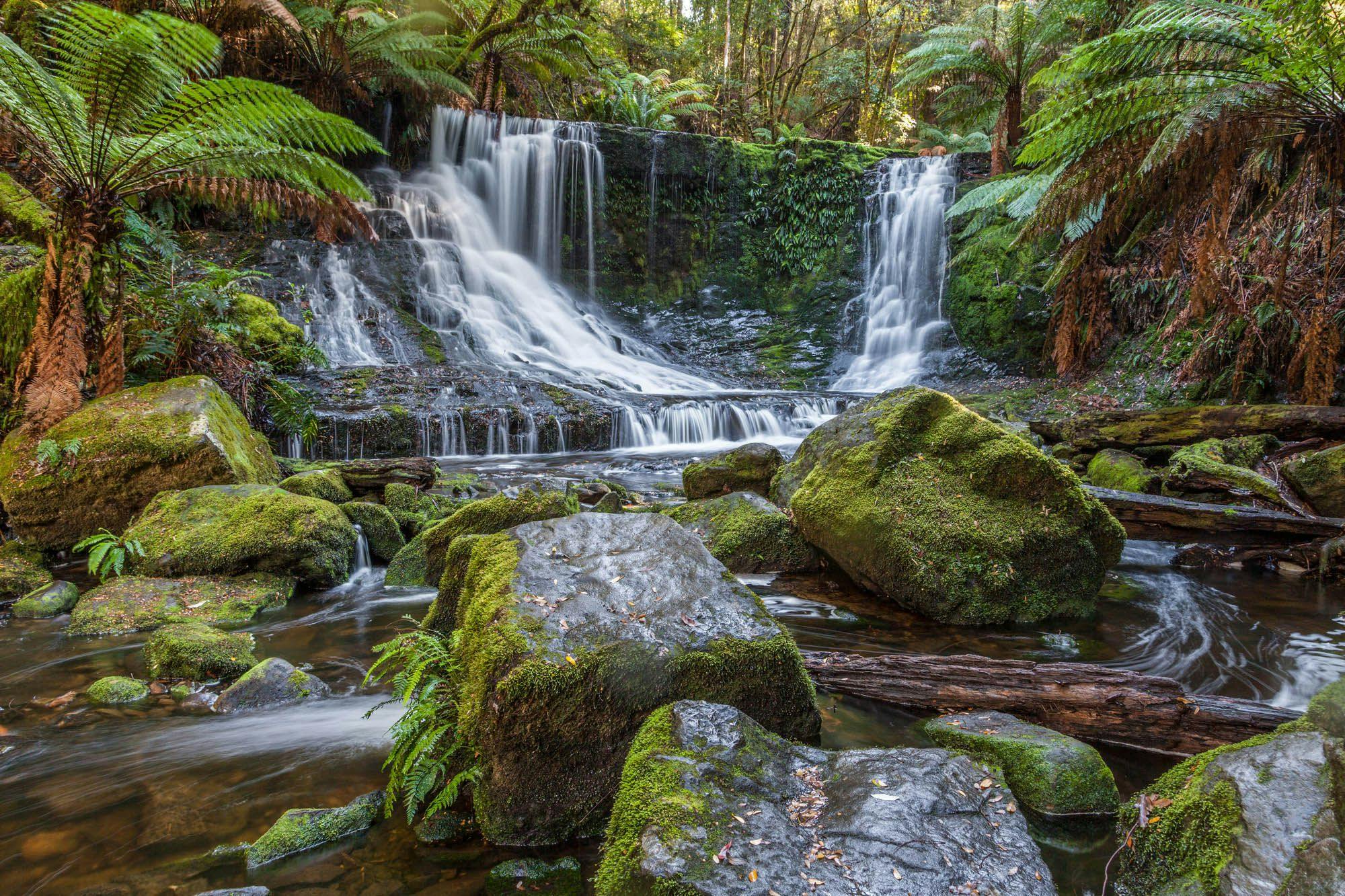 Russel Falls at Mount Field National Park Tasmania RatePunk