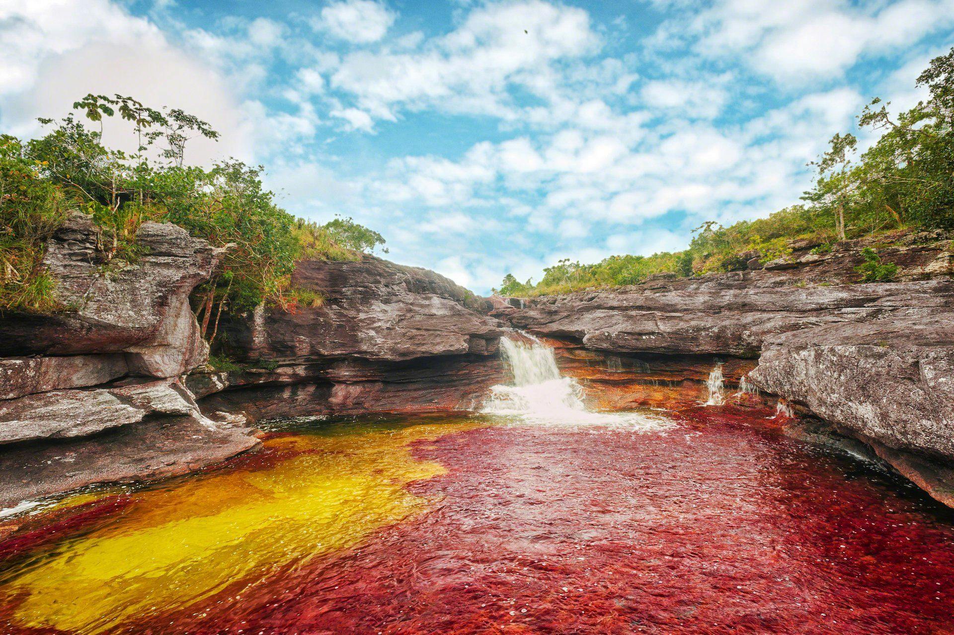 The Liquid Rainbow, Cano Cristales river in Colombia