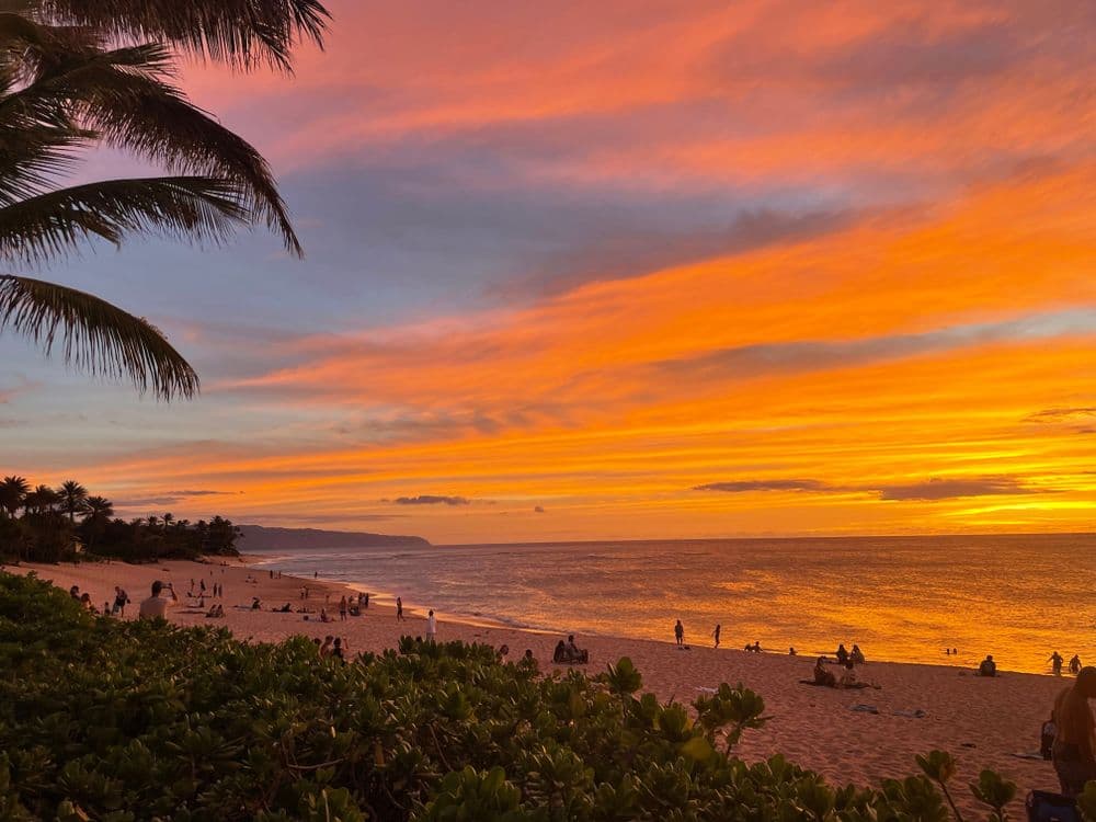 7 Things to Do in Honolulu, Hawaii 2024