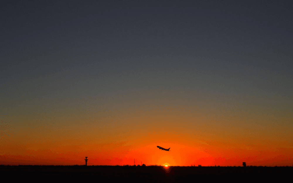 Aviasales vs RatePunk: Which Finds Better Deals?