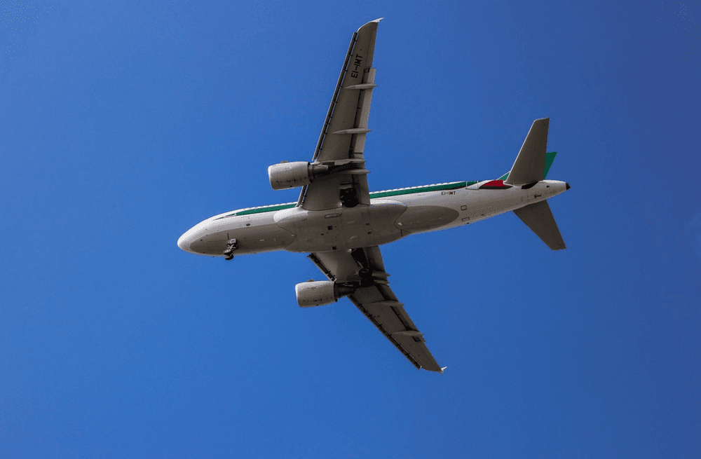 DealRay vs RatePunk: Which Finds Better Deals?