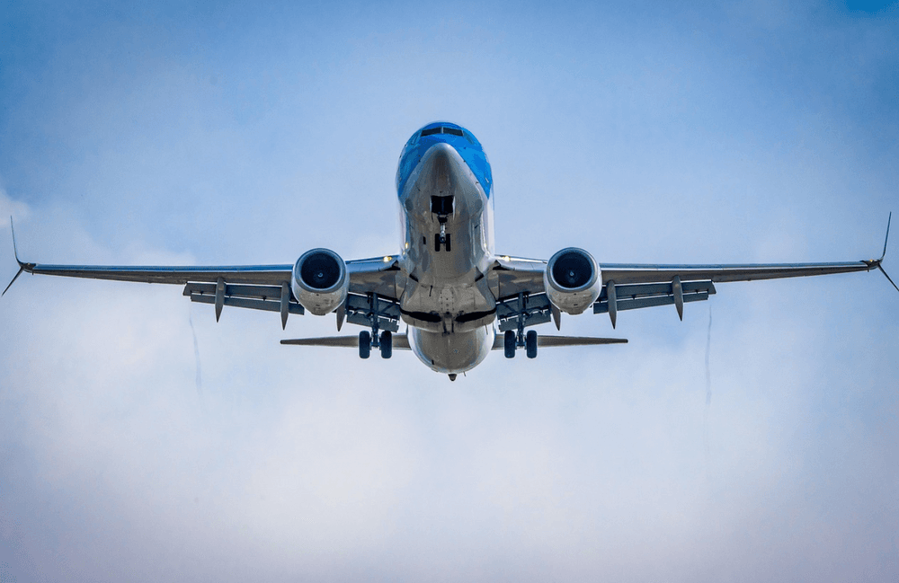 Dollar Flight Club vs RatePunk: Which Finds Better Deals?