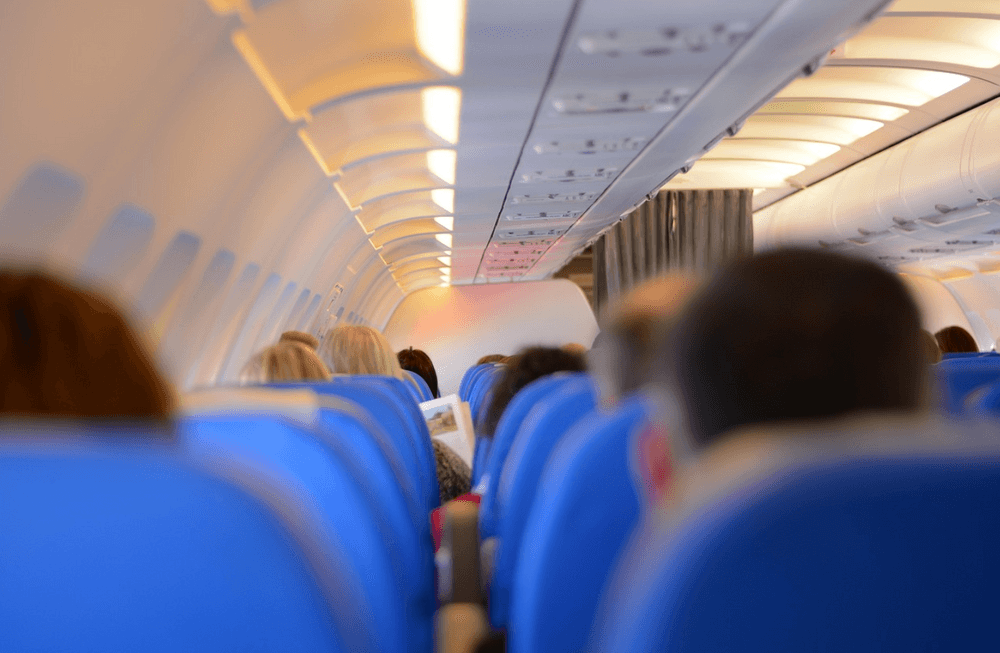 Thrifty Traveler vs RatePunk: Which Finds Better Deals?