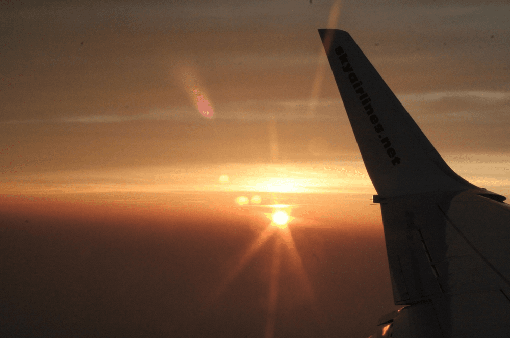 TravelPirates vs RatePunk: Which Finds Better Deals?