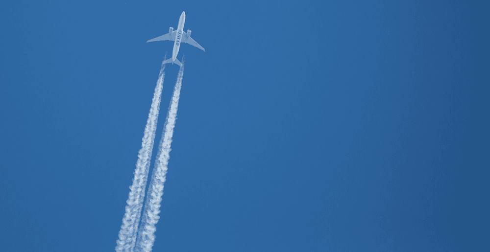 FlightNetwork vs RatePunk: Which Finds Better Deals?