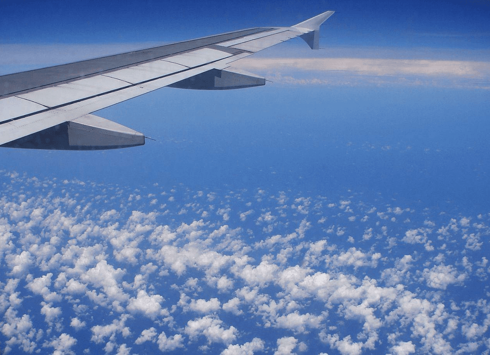 Flystein vs RatePunk: Which Finds Better Deals?