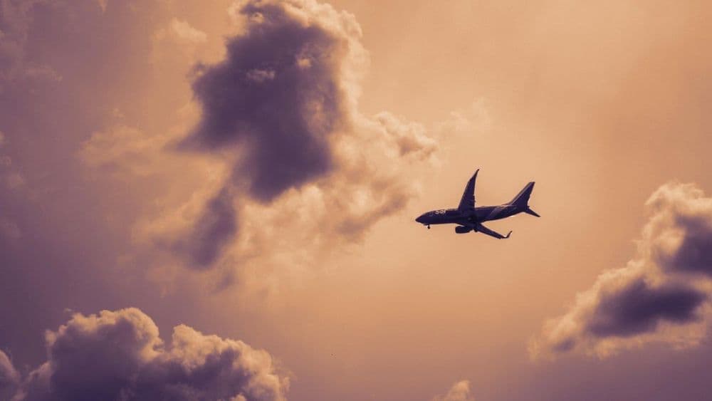 FlightHub vs RatePunk: Which Finds Better Deals?