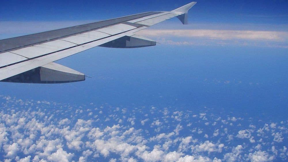 Flystein vs RatePunk: Which Finds Better Deals?