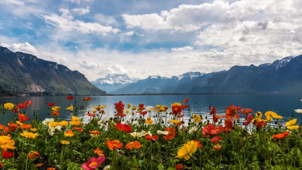 Spring Travel to Switzerland: where to go and what to do