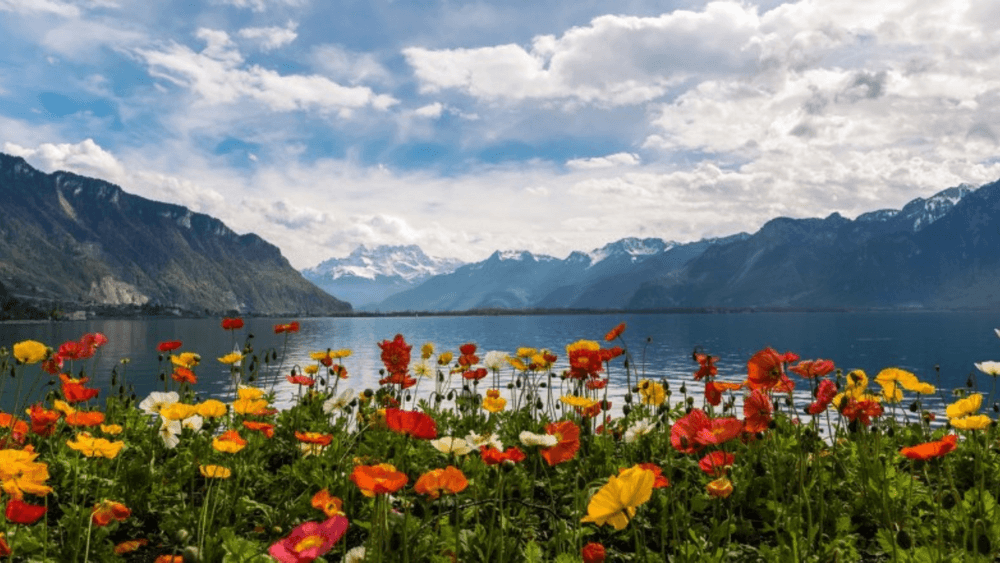 Spring Travel to Switzerland: where to go and what to do