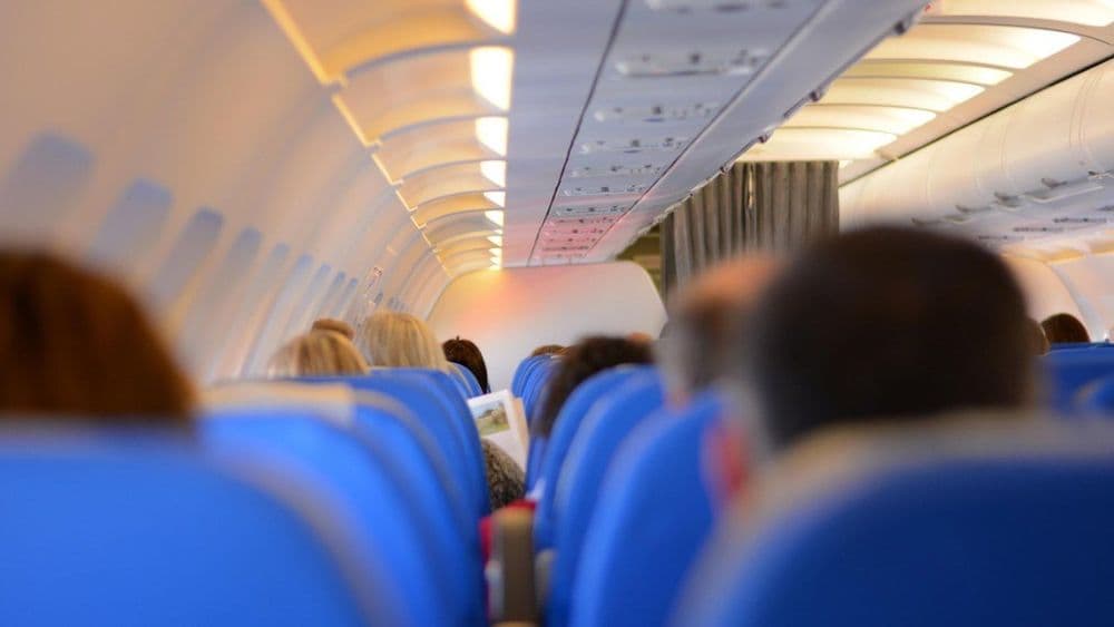 Thrifty Traveler vs RatePunk: Which Finds Better Deals?