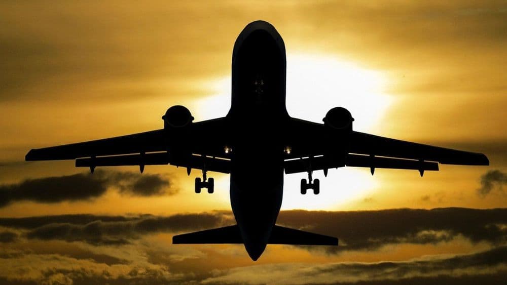 Travala vs. RatePunk in 2027: How the Two Compare